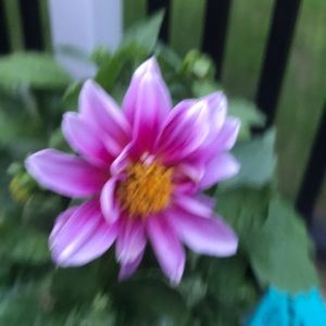 Meet your Posher, Becky